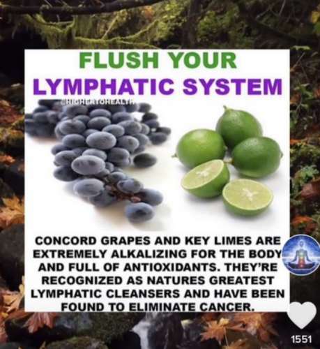 Screenshot_20210727-022555-245