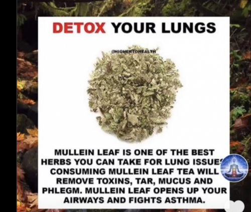 Screenshot_20210727-022904-106