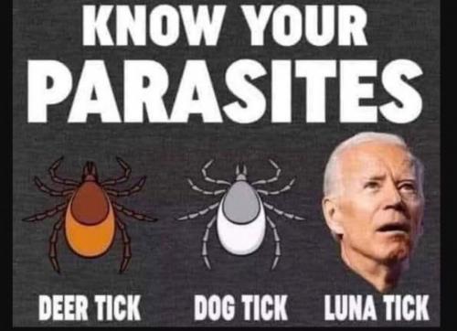 8A21DB28-17D0-45A3-A990-7C0BE7C644E2