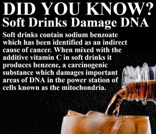 SOFT DRINKS DAMAGE DNA