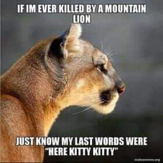 IMG_20210824_142403_300