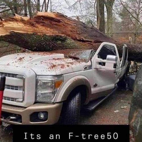 IMG_20210806_142943_276