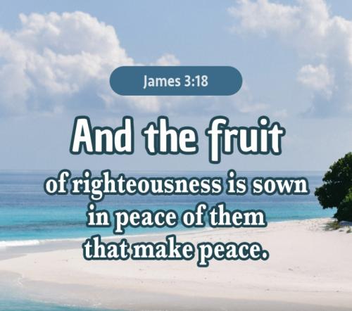 James 3:18