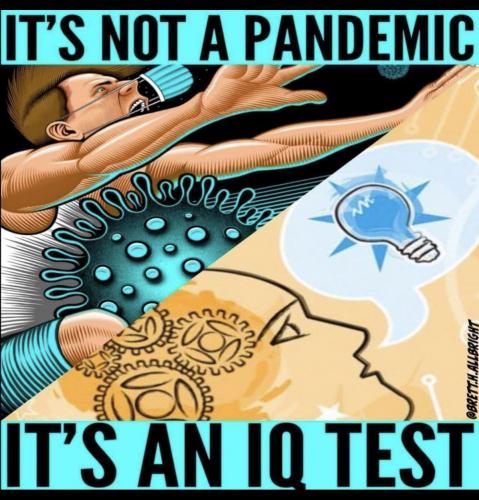 E0203CA8-96EC-43CF-8776-53BF5A1C65E9