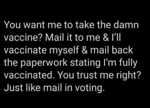 mail in voiting