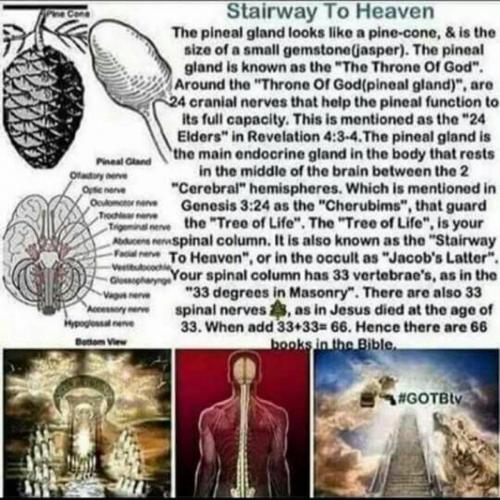 Stairway to Heaven #PinealGland