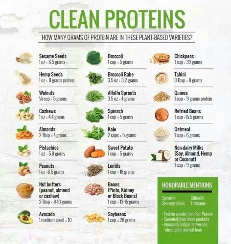 Clean proteins