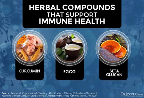 Herbal compounds that support inmune health