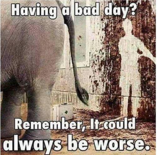 ff - 0813 - could be worse