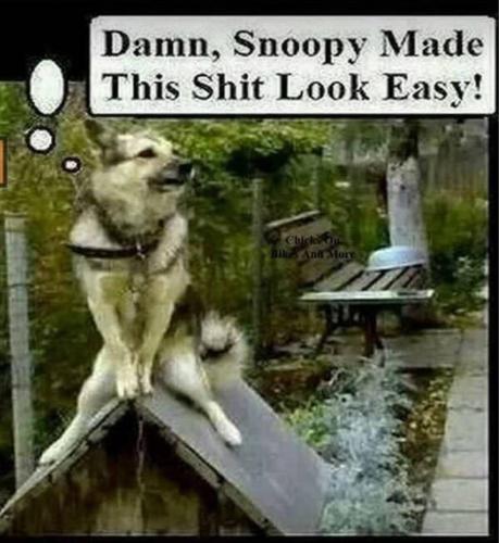 202105020252-ss86jwa8TO