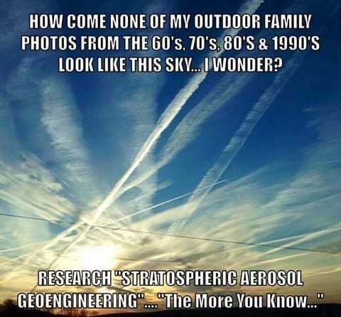 FC7031ED-06EF-48BA-8BEA-E50E535CB3C4