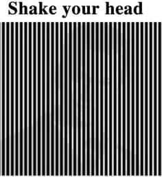 FB_IMG_1630264485050
