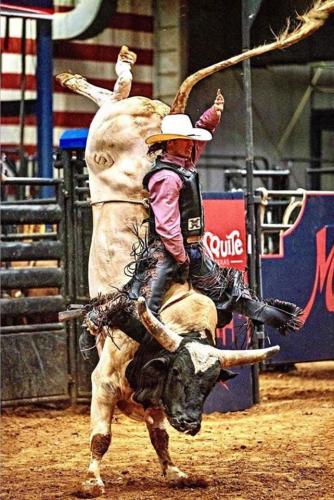 bull rider