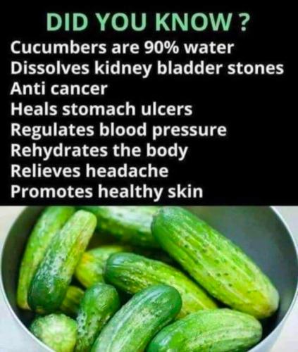 Cucumbers ðŸ¥’