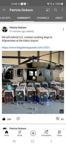 Screenshot_20210830-225825_YouTube