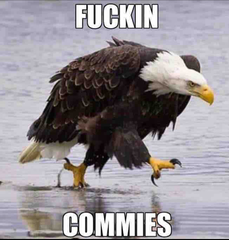 8DBA1B12-A2E1-4663-A521-04C04CE01DB4