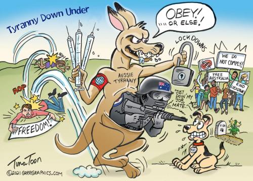 tina toon 27139561927854889057238