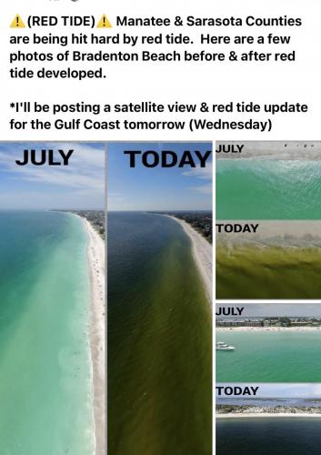 74709961-926B-49A9-B53A-7C7AA5D98B97