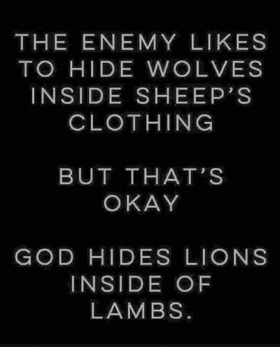 Nh5uDYI42UFLURxNEONS_30_72014e0a69016ed15218521750967224_image_original