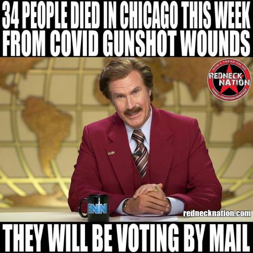 !  Covid deaths by gunshot voting mail