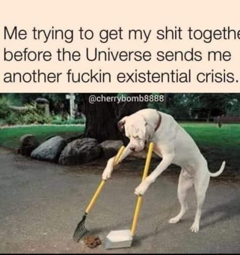 A22119C2-7847-4FDD-8624-A588AD7B7D90