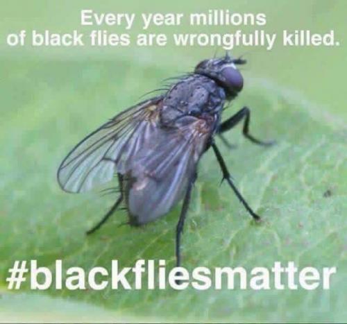 26EF0438-F39B-402F-B84B-B52F6D4EC0C9