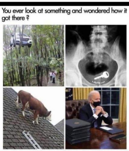 how