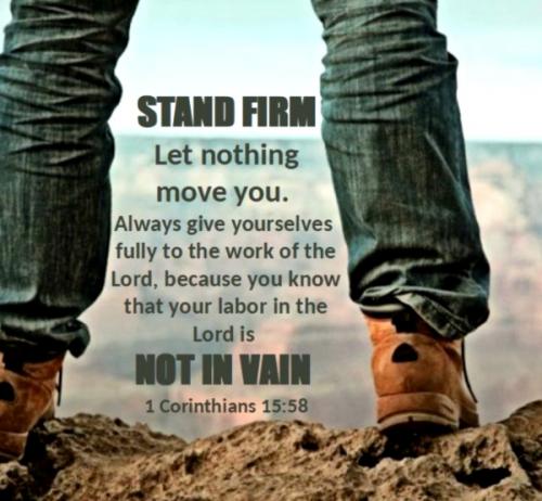 standfirm