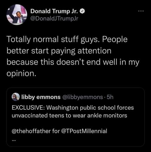 240546732_1224218501385581_7367322756241033302_n