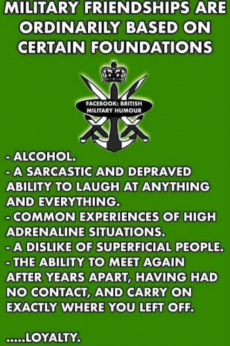 M loyalty