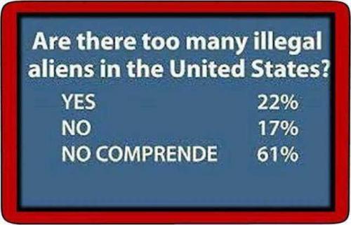 FMxXiUH1oPFjVHkj5Wdz_29_c496255e9c21be0c500c64947d31405b_image