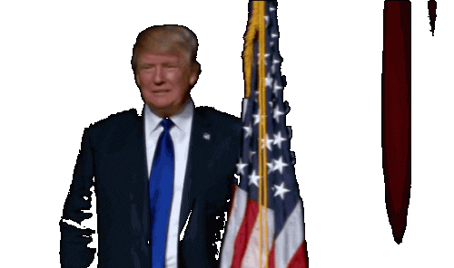 trump flag hug