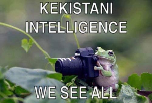 F1DA6244-30CB-4674-82D0-0D0907041DA9