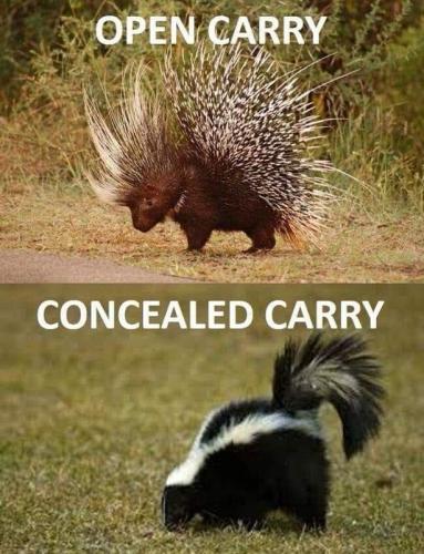 opencarry
