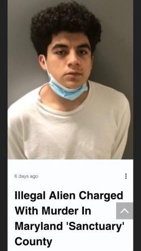 IllegalAlien5