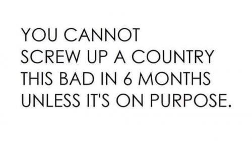 FB_IMG_1628279306844