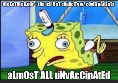 Screenshot_20210806-095925-077