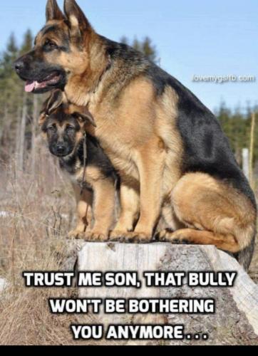 FDB475F1-14D8-4396-A9A1-ADEDB8589C91