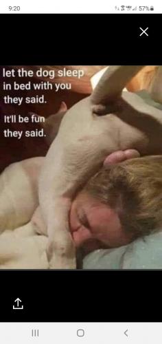 Screenshot_20210203-212047_clouthub