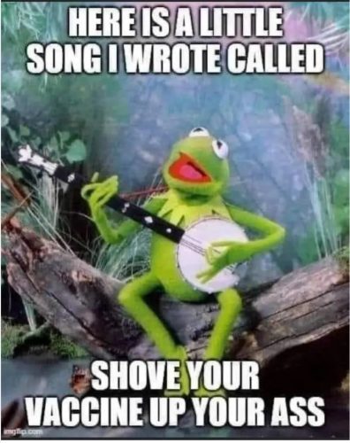 Screenshot_20210729-223539-011