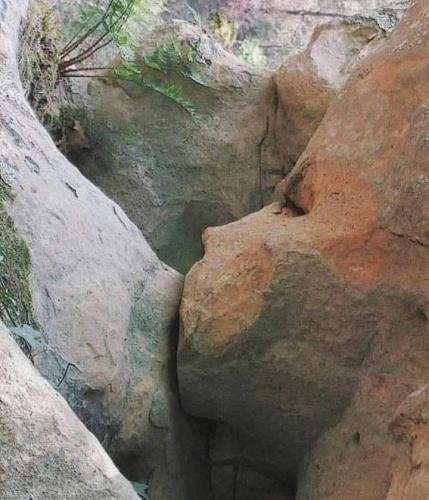 FB_IMG_1627406037852