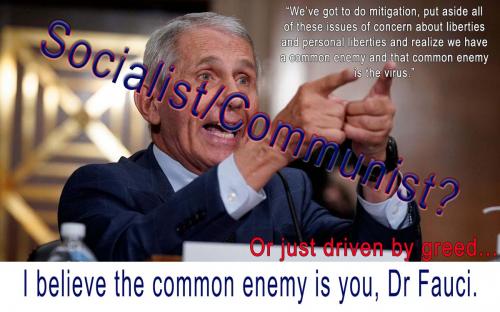 enemy fauci