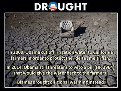 GlobalWarming