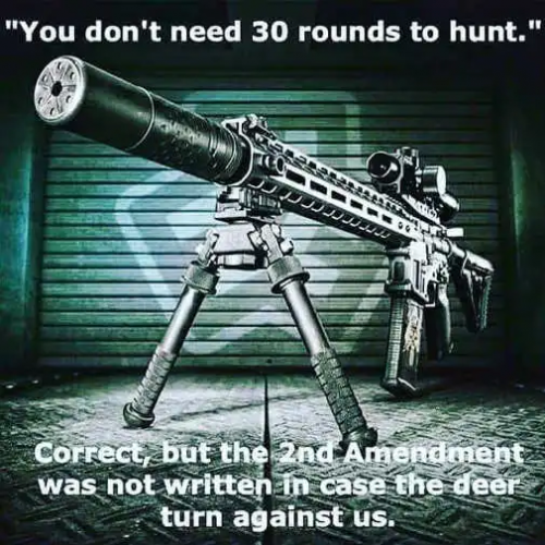 YOU DON'T NEED 30 ROUNDS