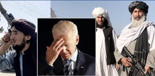 photo_2021-08-29_22-49-37