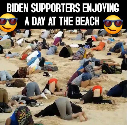 Day at the beach