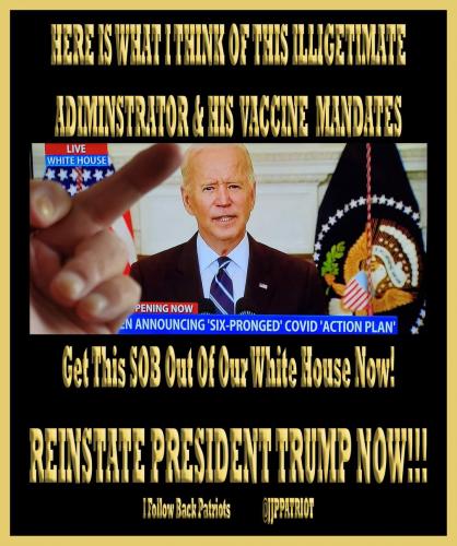 FB_IMG_1631227515327