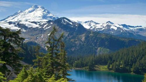 result_1596947931851