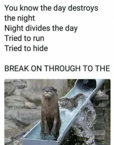 otter slide (2)