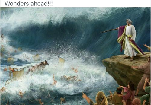 DCA1D71C-5A28-4EA5-87EE-869C67E490D0